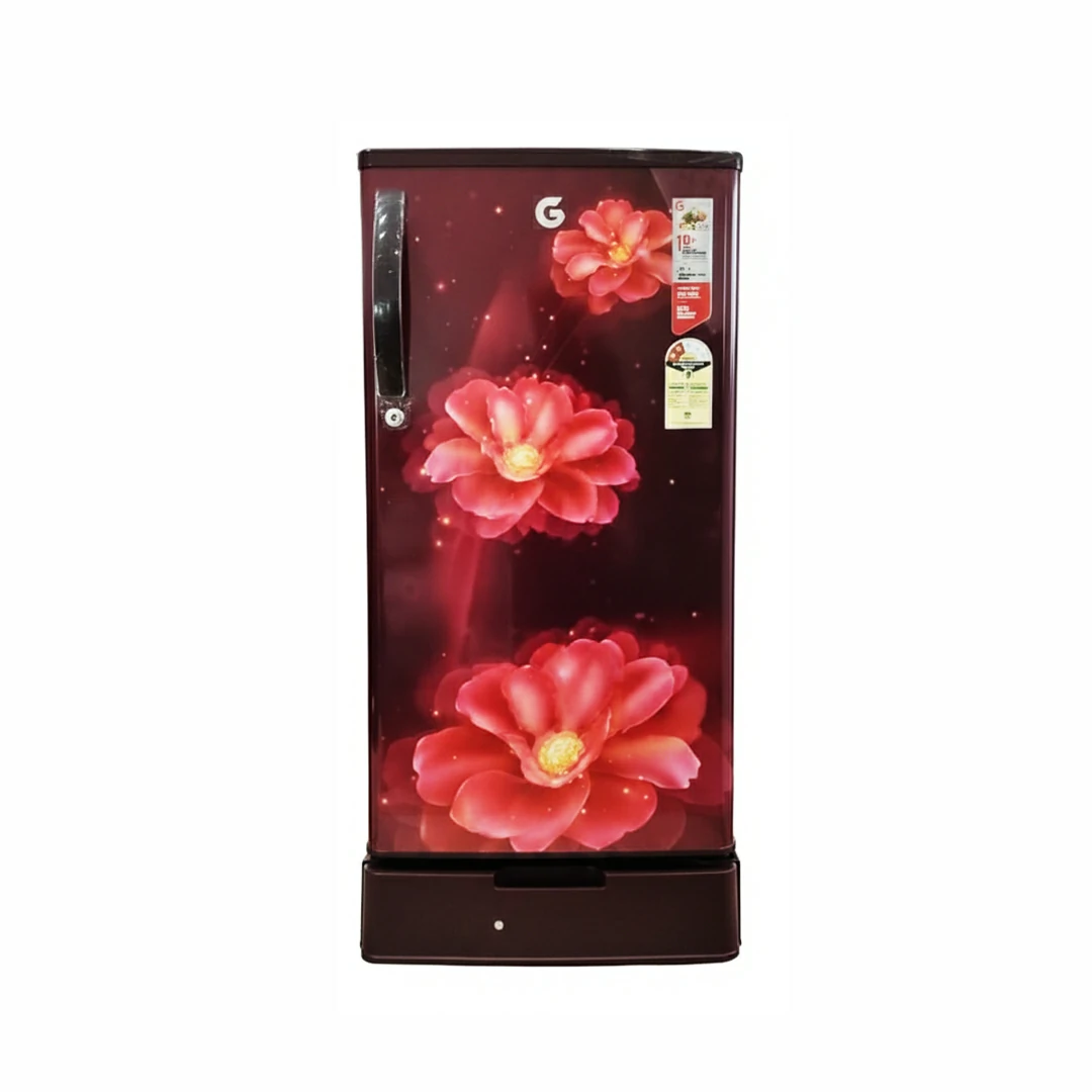 Gplus 528L | Frost Free French Door Refrigerator | Water Dispenser