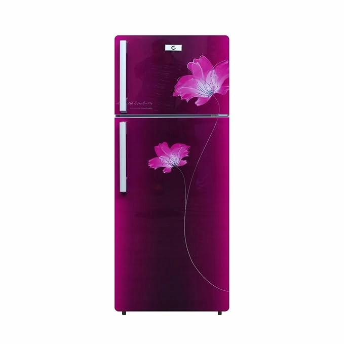 F・G・D ars10 Gplus 528L | Frost Free French Door Refrigerator | Water Dispenser